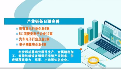 奮進(jìn)在春光里 電子信息產(chǎn)業(yè)滿園春色，賦能向海圖強(qiáng)與信息咨詢服務(wù)共振